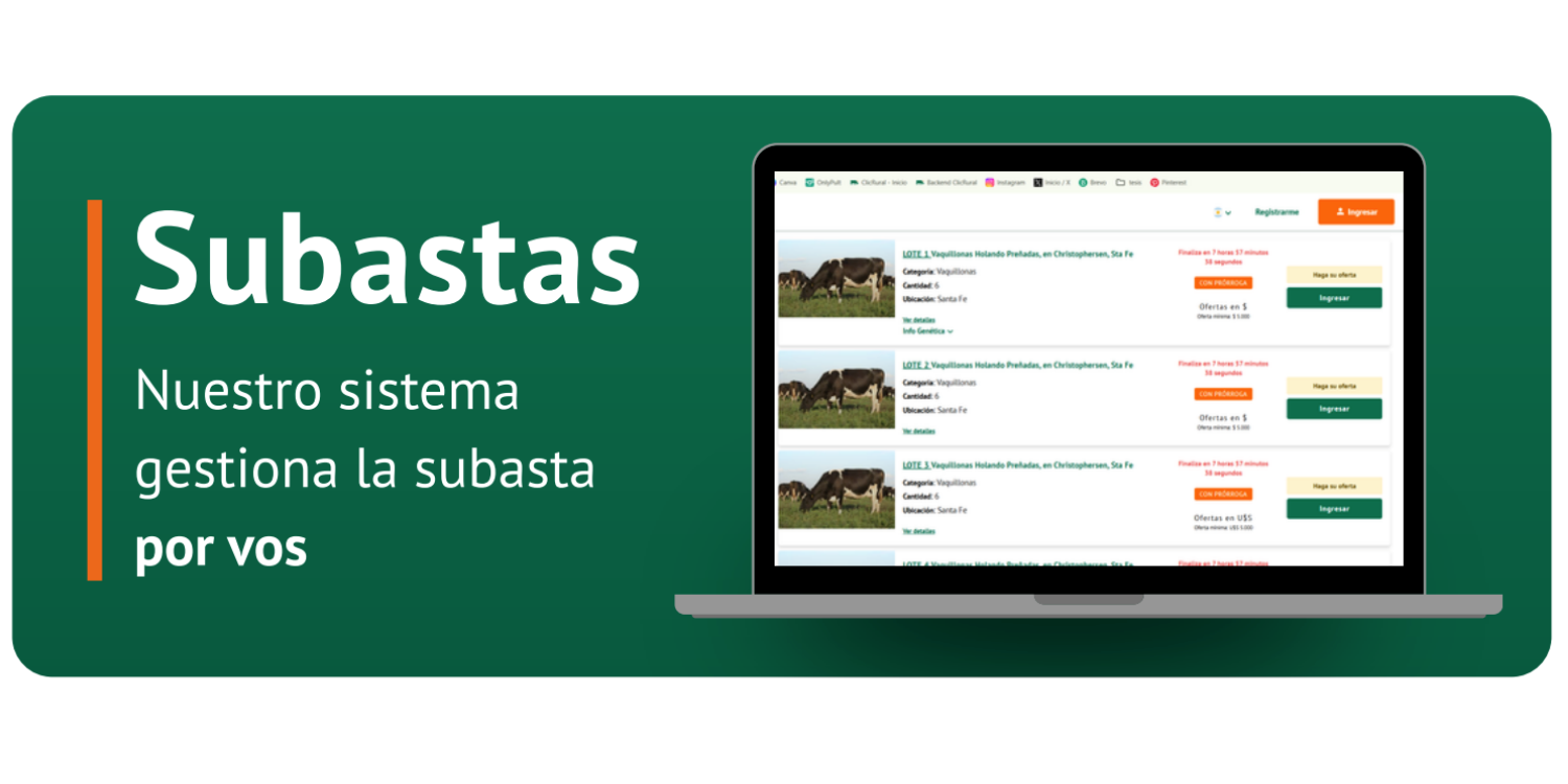 Subastas